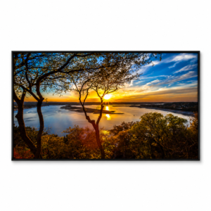Golden Horizon
