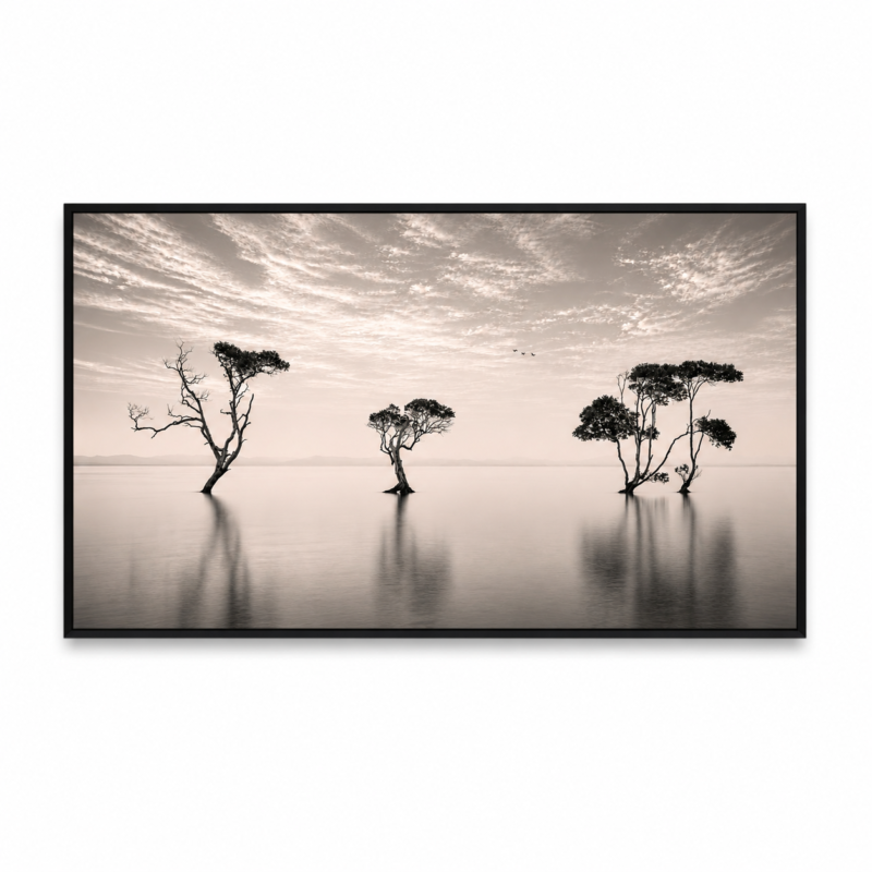 Silent Reflections