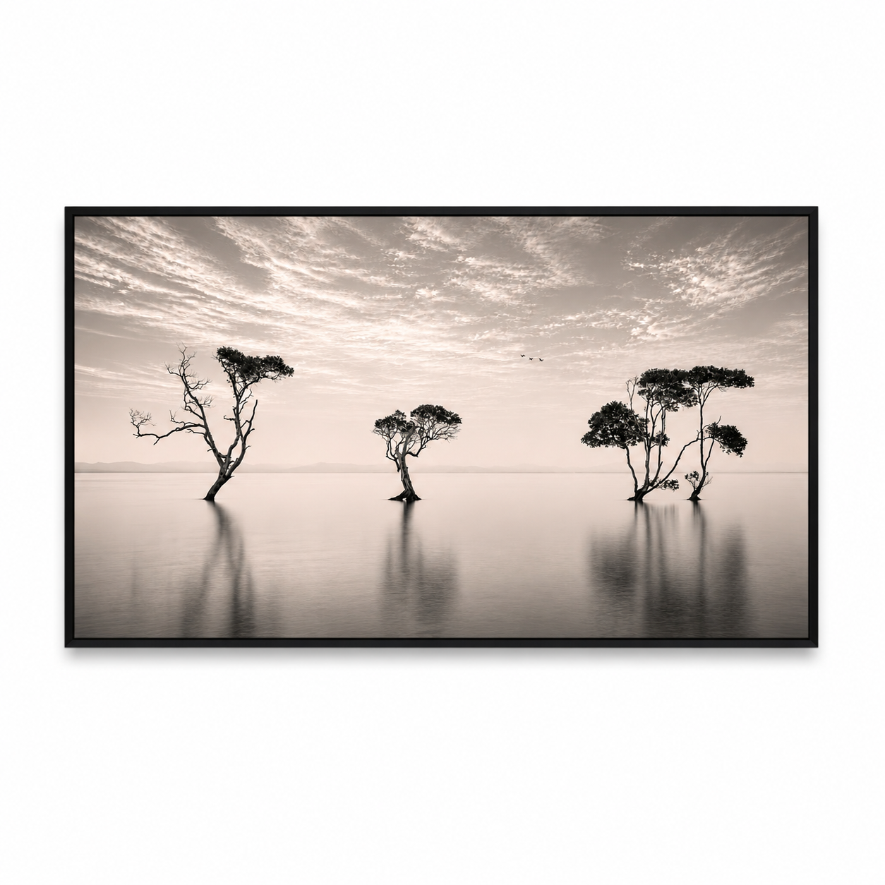 Silent Reflections