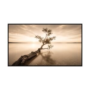 Stillwater Solace